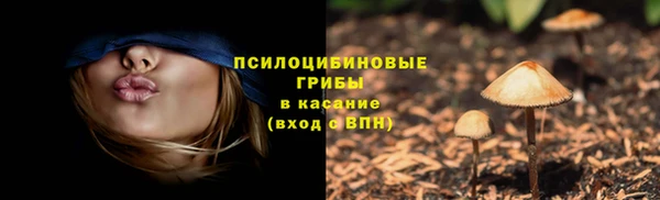 хмурый Алексеевка